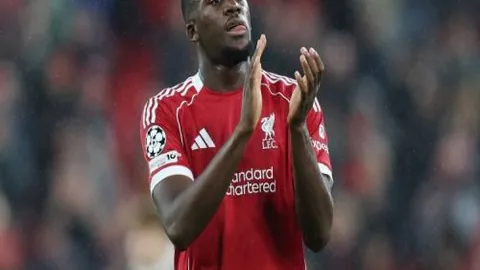 皇冠体育app下载